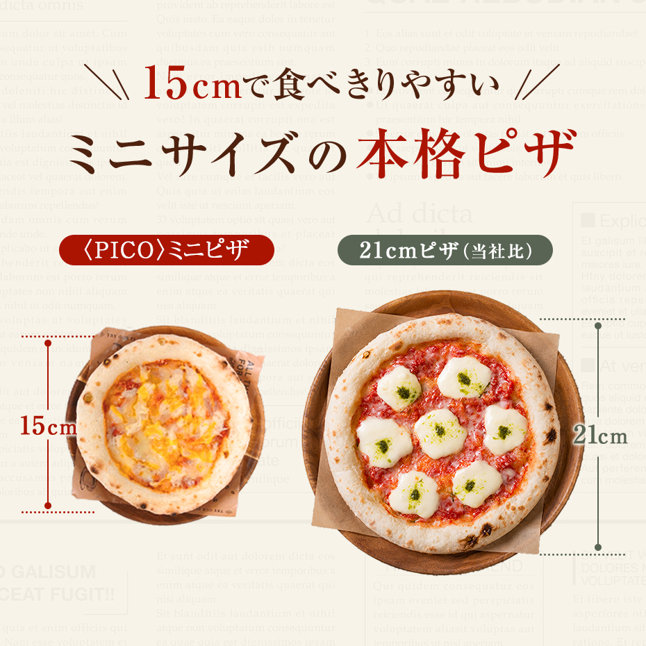 ミニサイズの本格ピザ