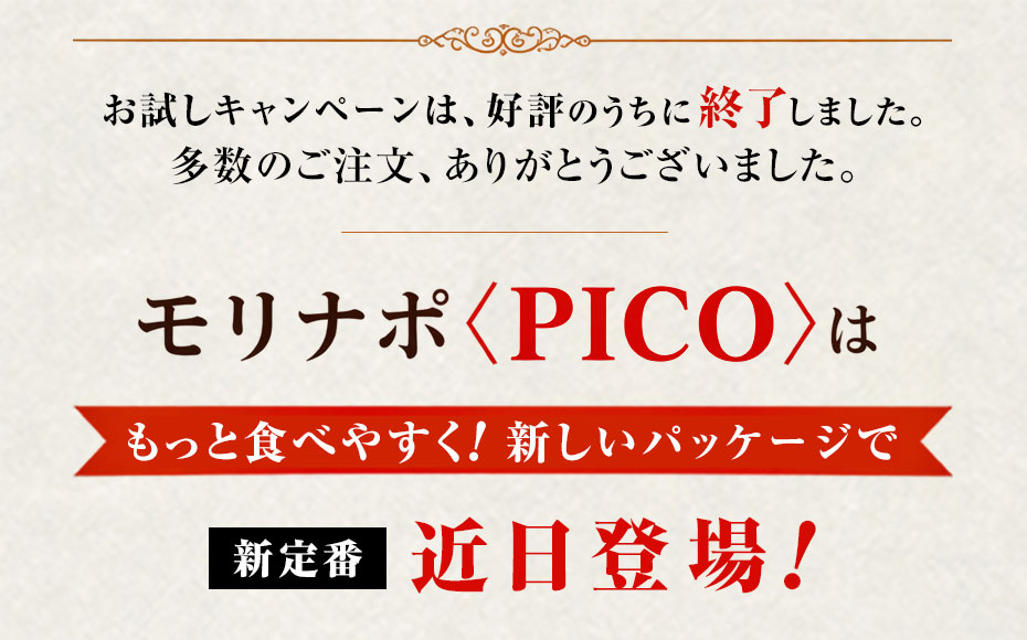 キャンペーン終了 新定番 近日登場