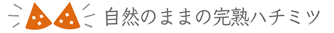 自然のままの完熟ハチミツ