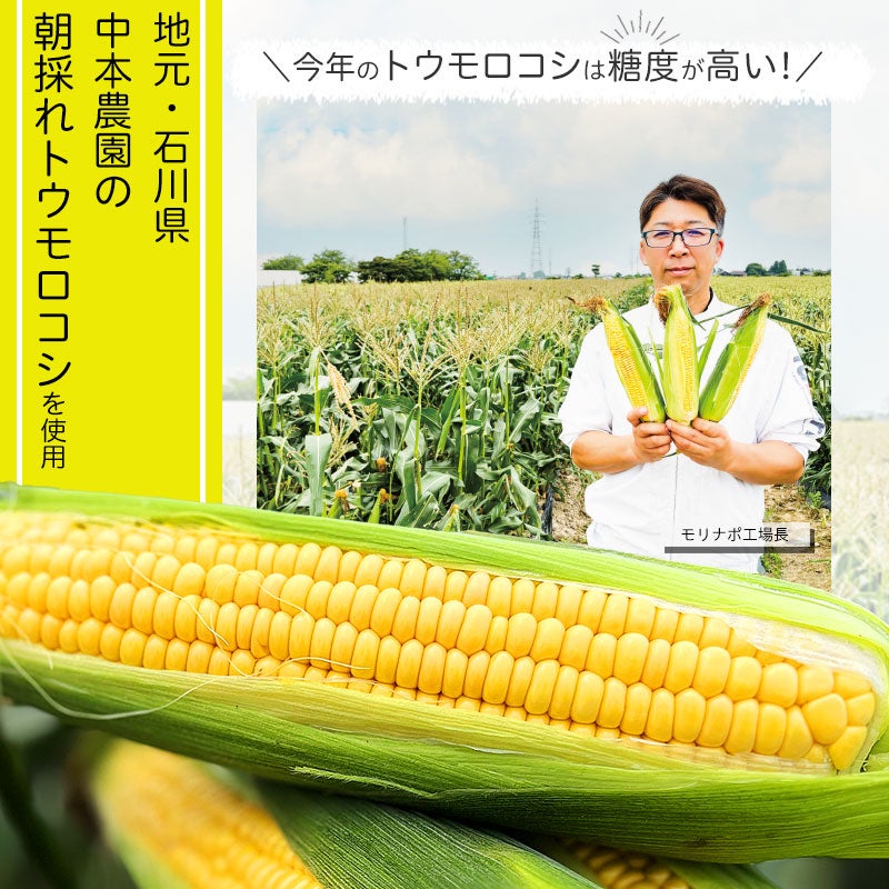 朝採れトウモロコシ