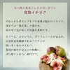 イチジク